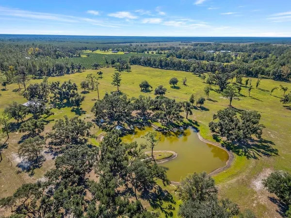 $1,699,000 | 1577 Pine Bluff Road, Perry, FL 32348