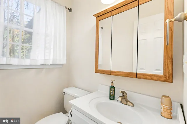 a bathroom with a sink a toilet and a mirror