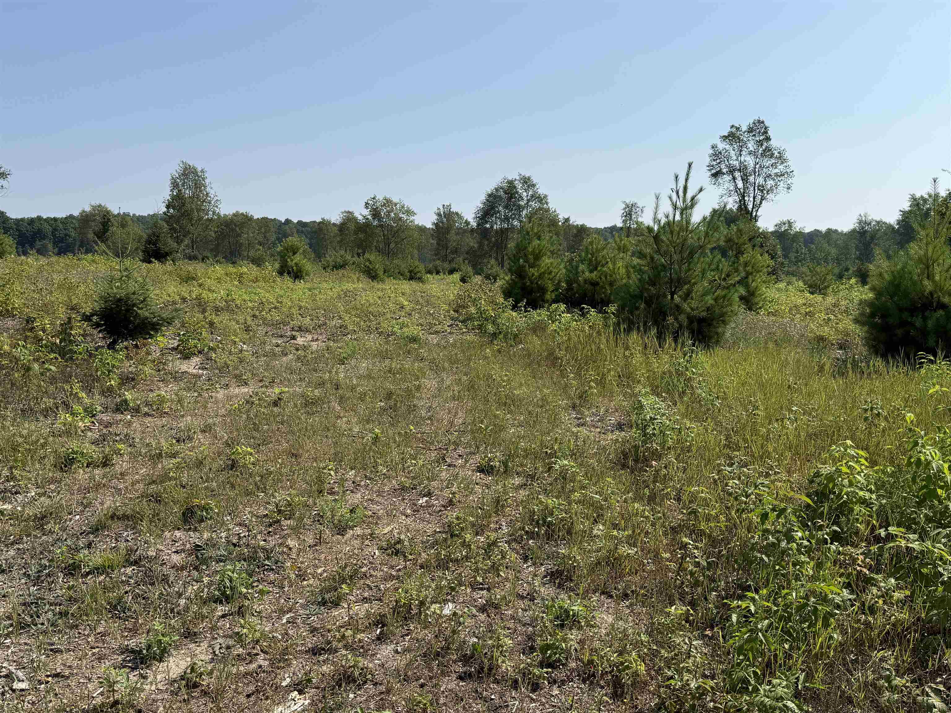 7 South Bright Road, Unit LOT: A7 Traverse City, MI 49684 - Photo 4 of 12