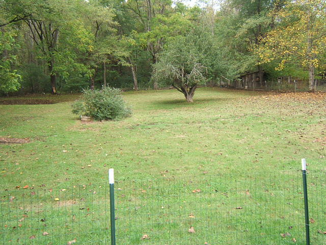 9555 Springwood Road Buchanan, VA 24066 - Photo 31 of 32 DSCF8930
