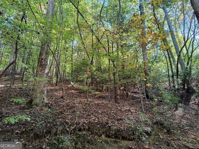 $11,000 | Lot 334 Cold Stream, Unit 334, Ellijay, GA 30540