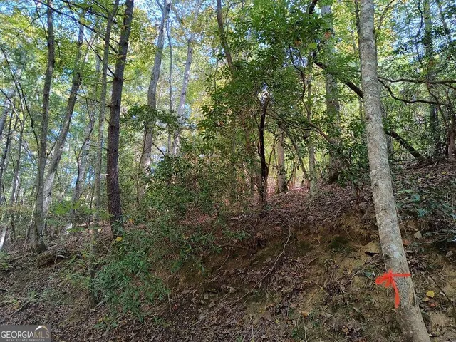 $11,000 | Lot 334 Cold Stream, Unit 334, Ellijay, GA 30540