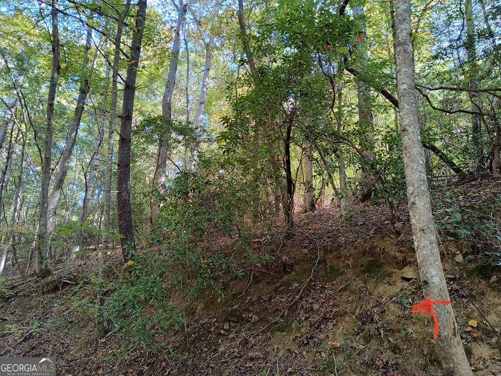 Lot 334 Cold Stream, Unit 334 Ellijay, GA 30540 - Photo 2 of 5