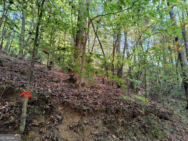 $11,000 | Lot 334 Cold Stream, Unit 334, Ellijay, GA 30540