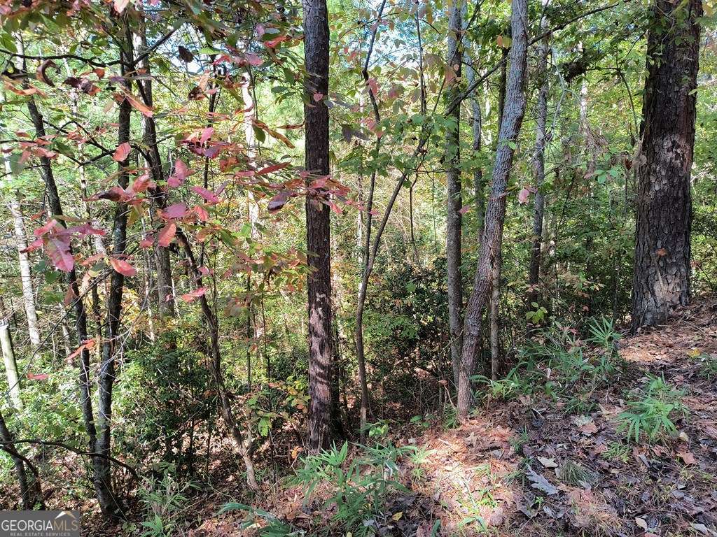 Lot 334 Cold Stream, Unit 334 Ellijay, GA 30540 - Photo 5 of 5