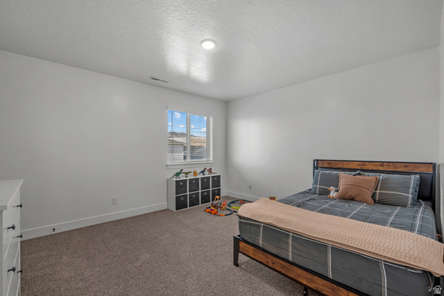 826 Walnut Bark Lane Mapleton, UT 84664 - Photo 24 of 40