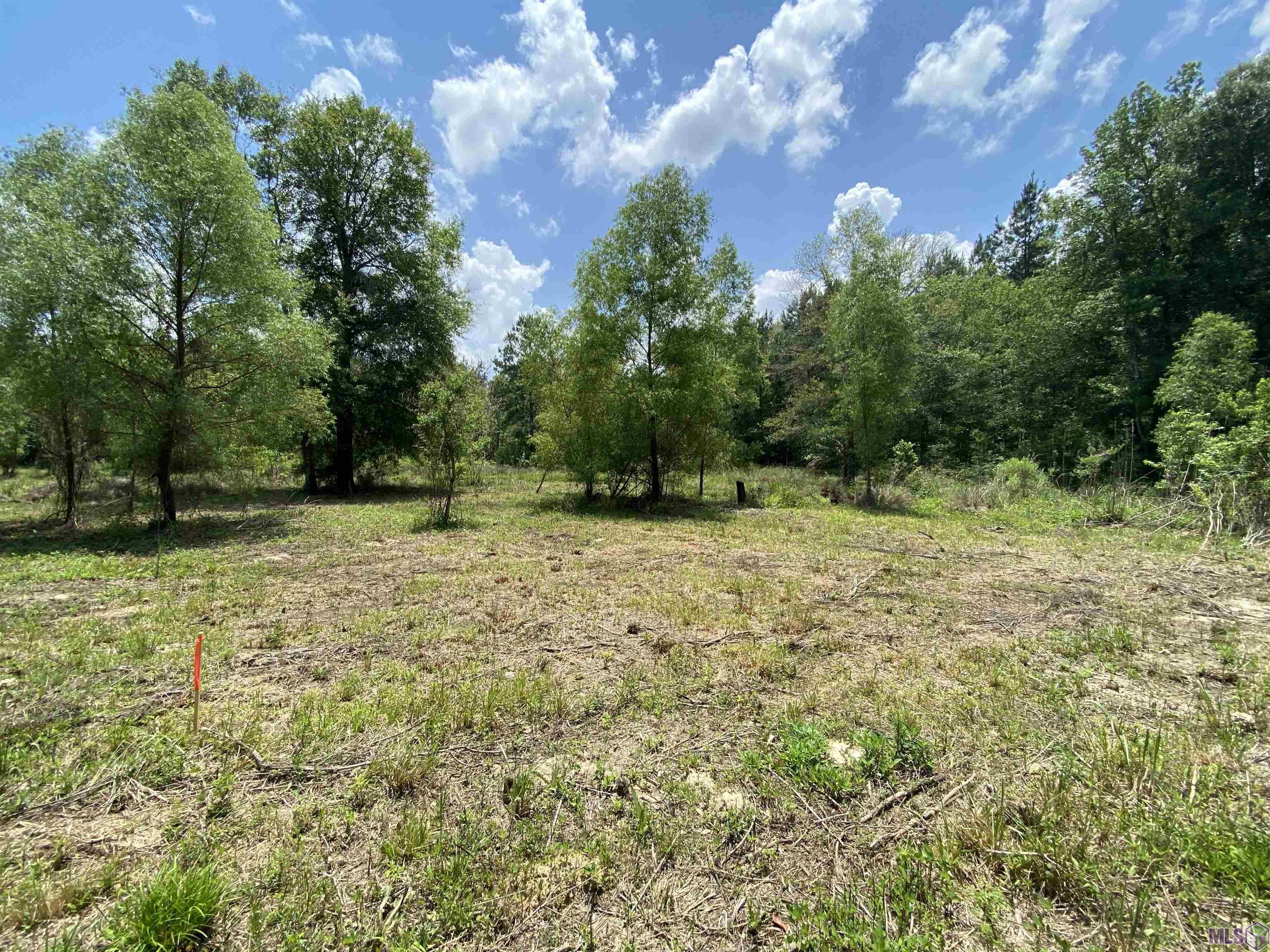 16756 Watkins Road Walker, LA 70785 - Photo 1 of 3 Gallery Image 1