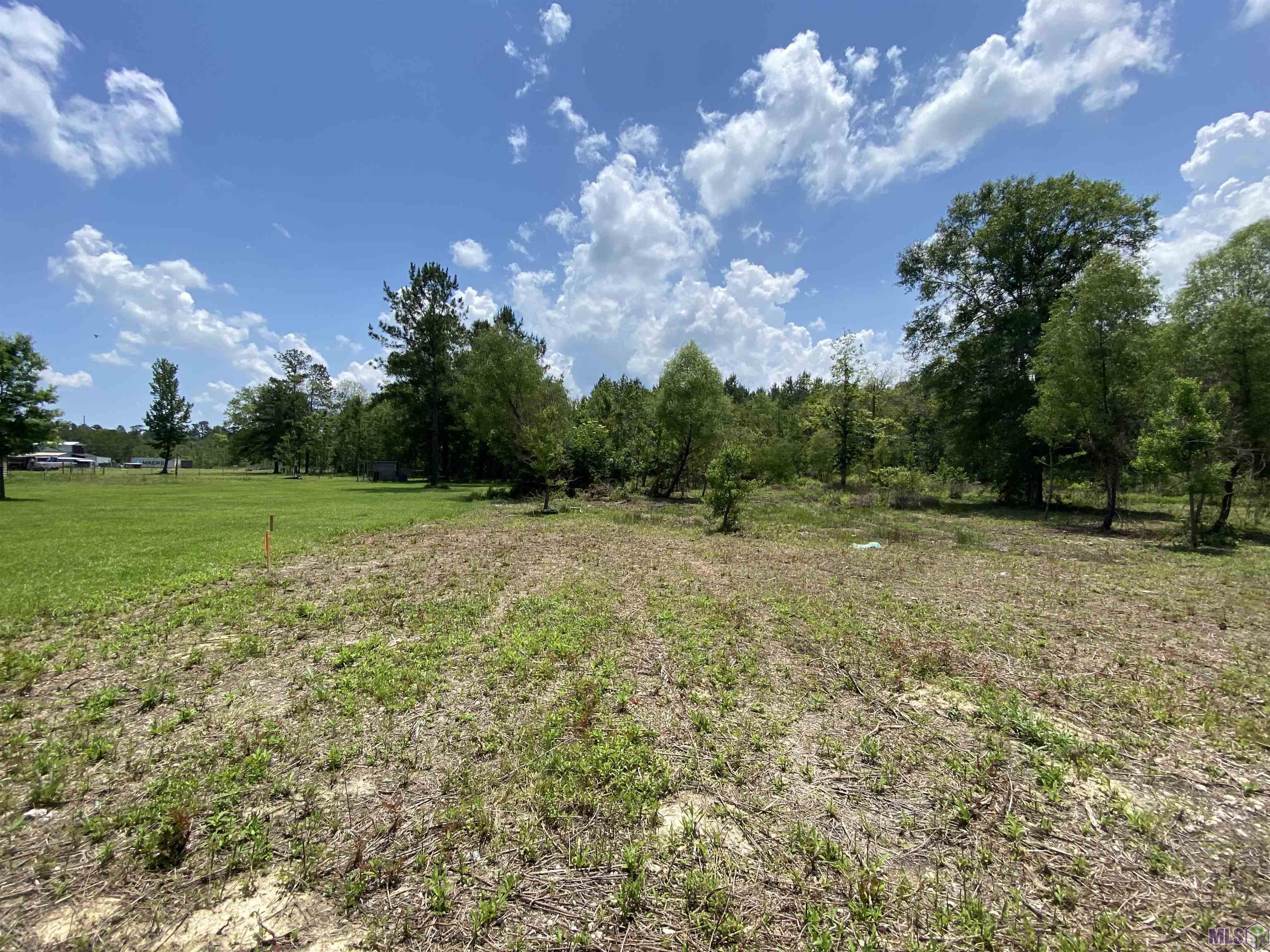 16756 Watkins Road Walker, LA 70785 - Photo 2 of 3 Gallery Image 2
