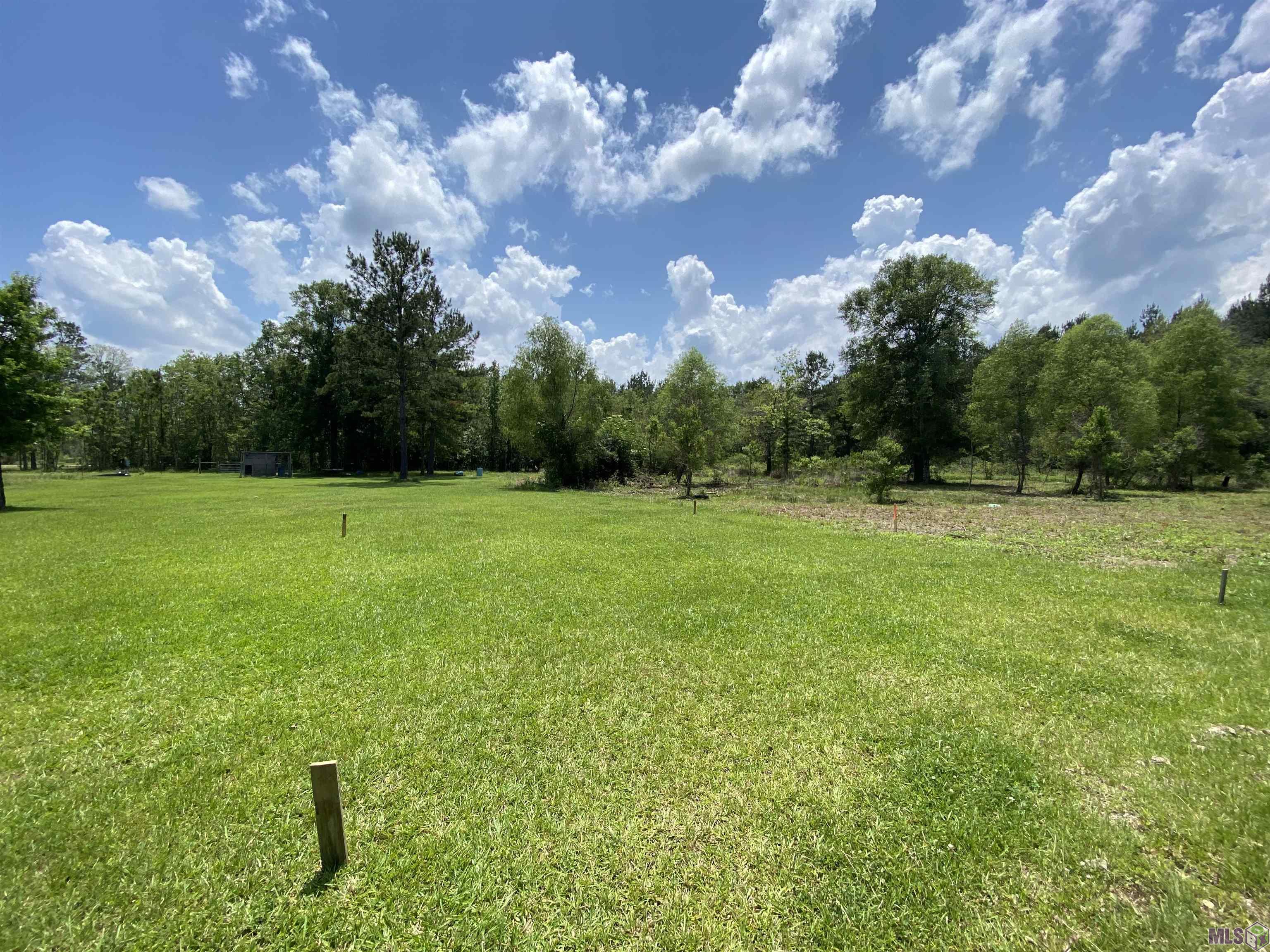 16756 Watkins Road Walker, LA 70785 - Photo 3 of 3 Gallery Image 3