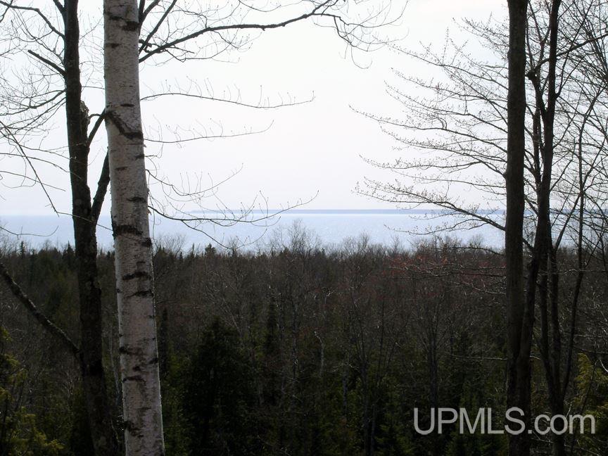 Tbd Northshore Bluffs Road, Unit 3 Manistique, MI 49854 - Photo 11 of 22