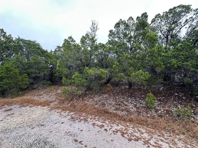 a view of a yard with a tree