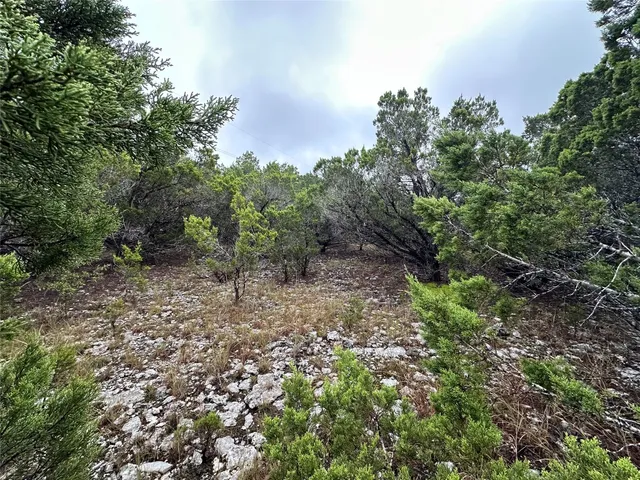 a big yard with lots of green space