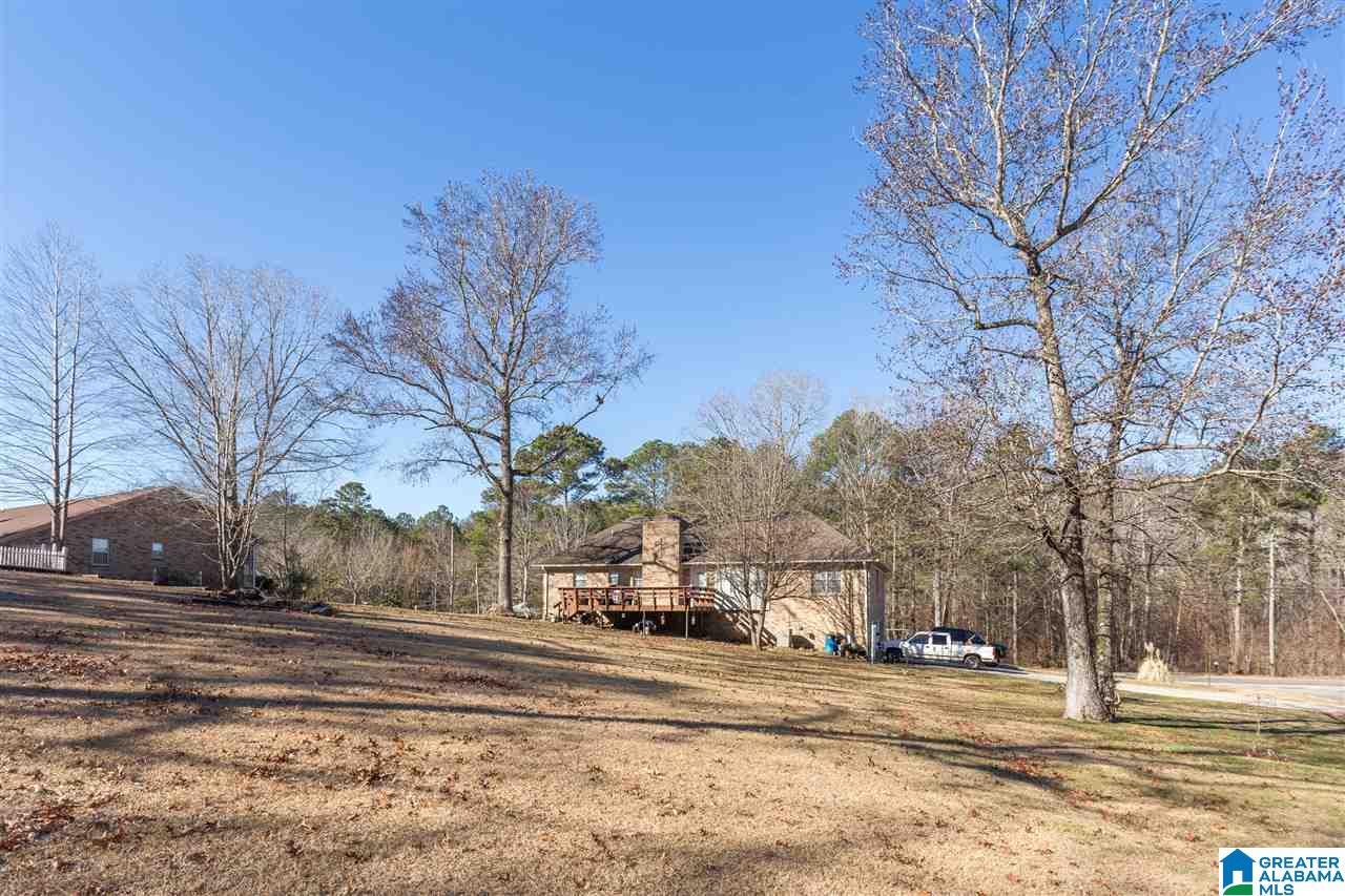 770 Red Valley Road Remlap, AL 35133 - Photo 36 of 37