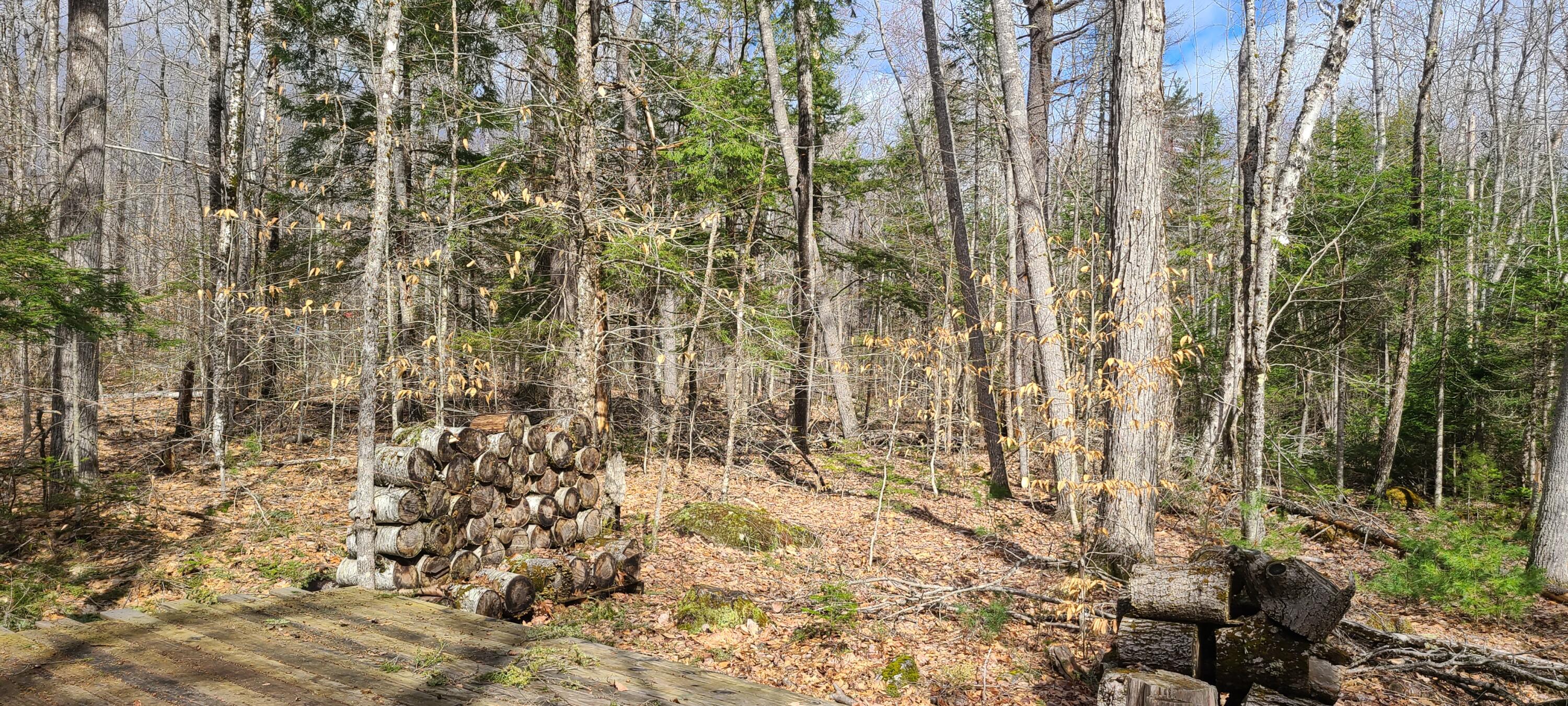279 Etna Pond Road Carmel, ME 04419 - Photo 6 of 12 20220420_094631