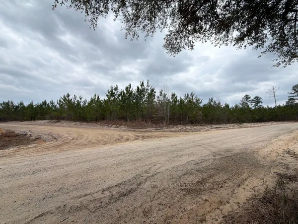 $49,900 | 5 Brunson Teal Road, Patrick, SC 29584