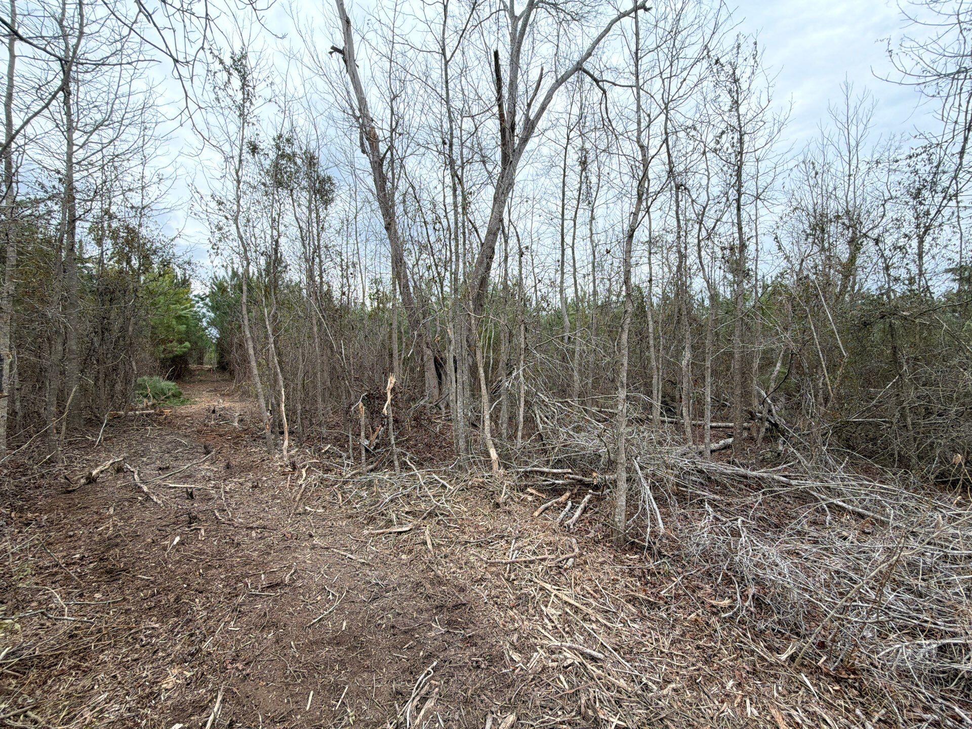 5 Brunson Teal Road Patrick, SC 29584 - Photo 5 of 21 27-Feb 11 2026 06_16pm-QbsN