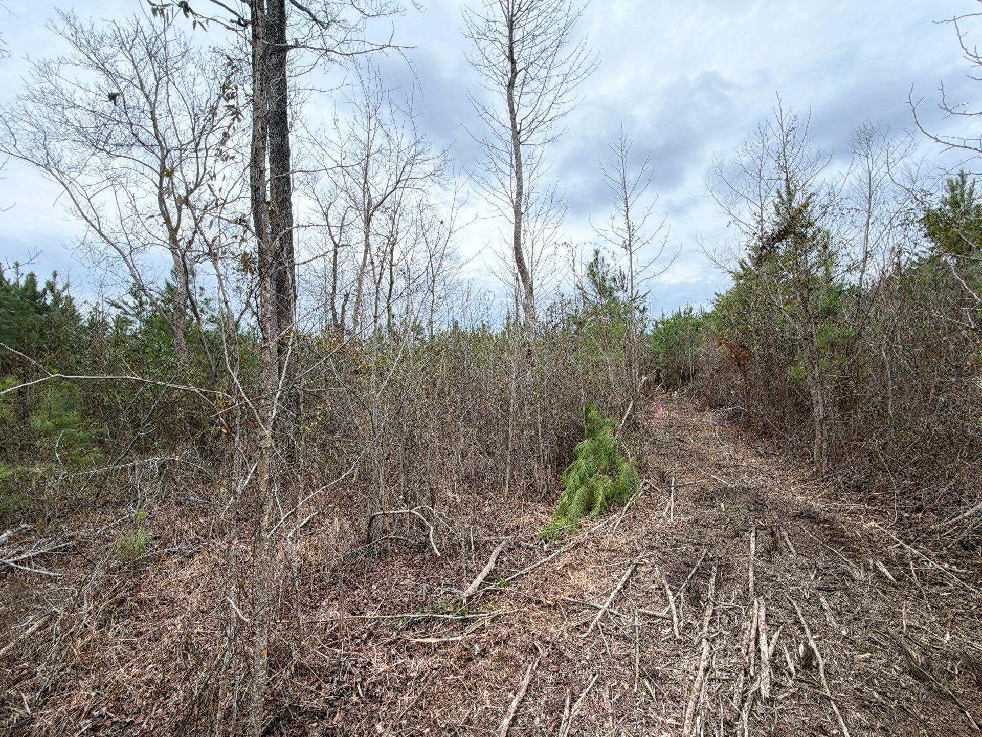 5 Brunson Teal Road Patrick, SC 29584 - Photo 6 of 21 26-Feb 11 2026 06_16pm-f69A