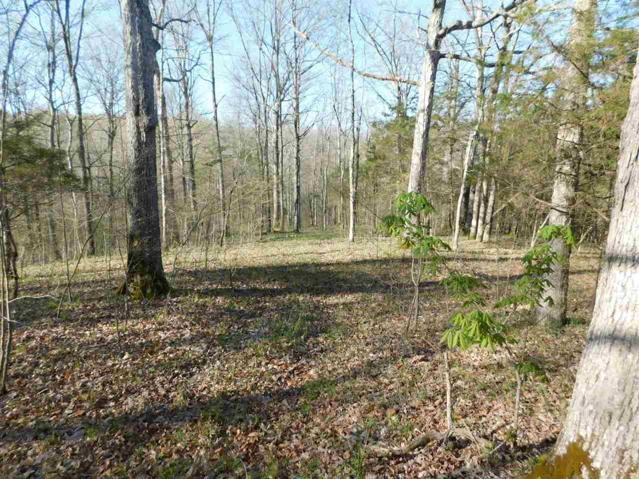 355 Doe Run Road Corinth, KY 41010 - Photo 24 of 30