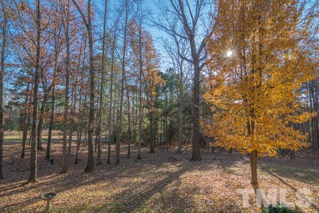 695 Dunn Road Louisburg, NC 27549 - Photo 3 of 23 Gallery Image 3