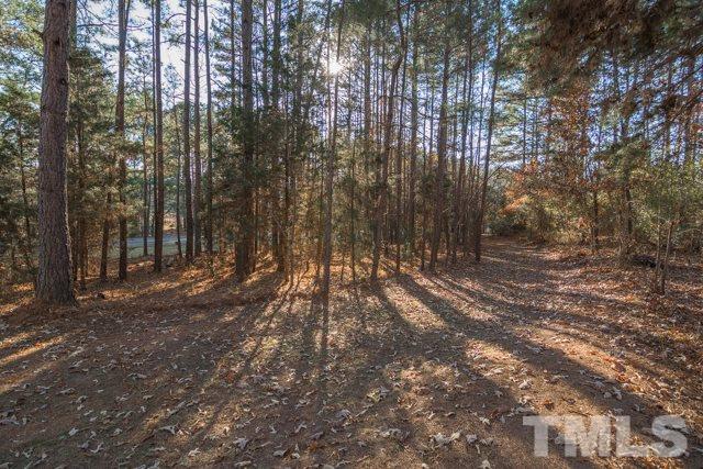 695 Dunn Road Louisburg, NC 27549 - Photo 4 of 23 Gallery Image 4