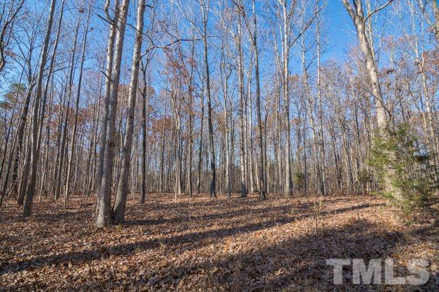 695 Dunn Road Louisburg, NC 27549 - Photo 5 of 23 Gallery Image 5