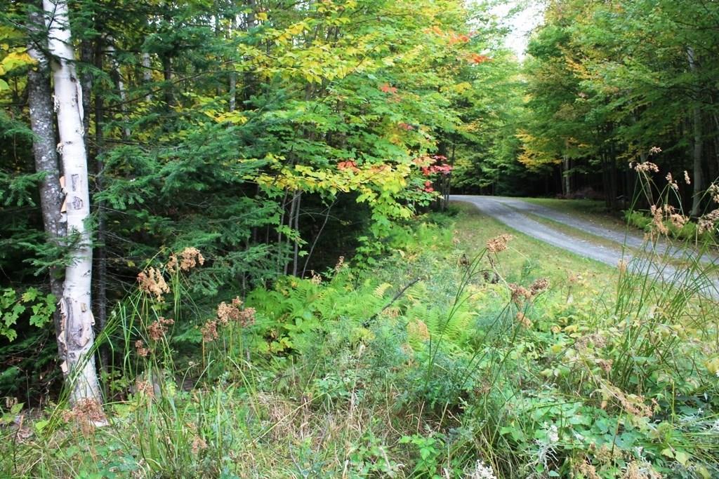 Tbd Tbd Baker Brook Road Rockwood, ME 04478 - Photo 4 of 8 Photo