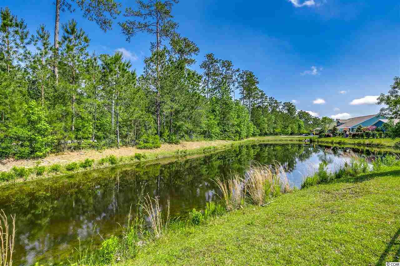 275 Simplicity Drive Murrells Inlet, SC 29576 - Photo 3 of 38
