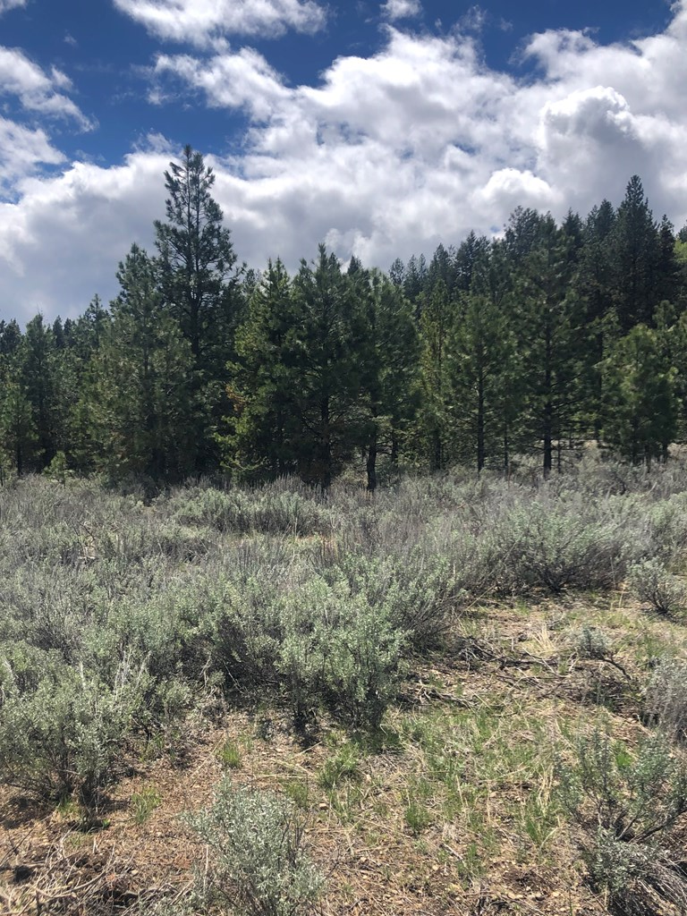 Tbd Bitterroot Court, Unit 20 McCall, ID 83638 - Photo 5 of 19