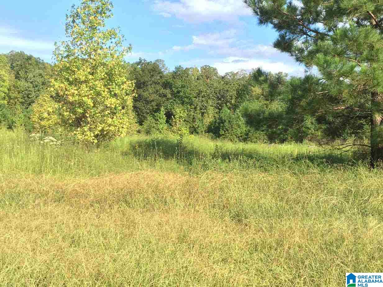 345 Beasley Road, Unit 178 Attalla, AL 35954 - Photo 15 of 20