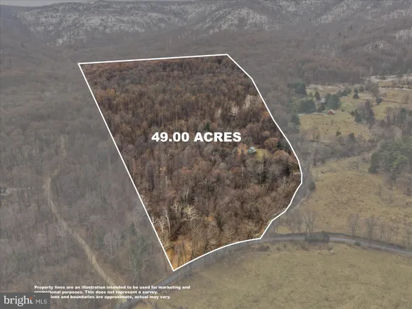 a view of a backyard with wooden fence