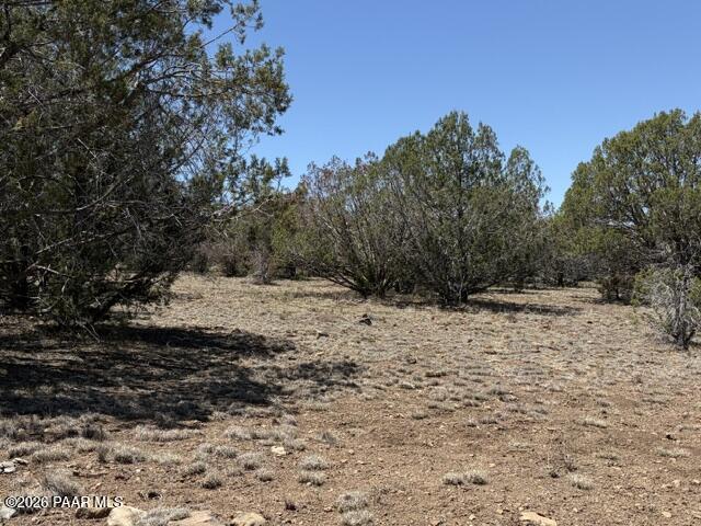 356 A Sierra Verde Ranch Seligman, AZ 86337 - Photo 1 of 8 a view of a yard covered with snow in outdoor