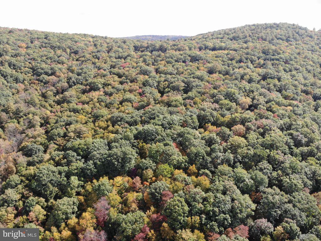 45 Grocery Hill Road Equinunk, PA 18417 - Photo 12 of 24 an aerial view of house with yard and mountain view in back