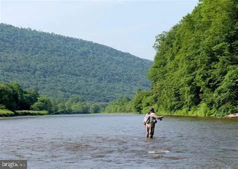 a close view of stove