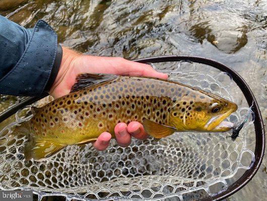 45 Grocery Hill Road Equinunk, PA 18417 - Photo 22 of 24 a bird view of a house
