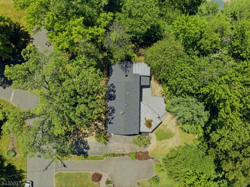 55 Green Hill Road Springfield, NJ 07081 - Photo 49 of 50