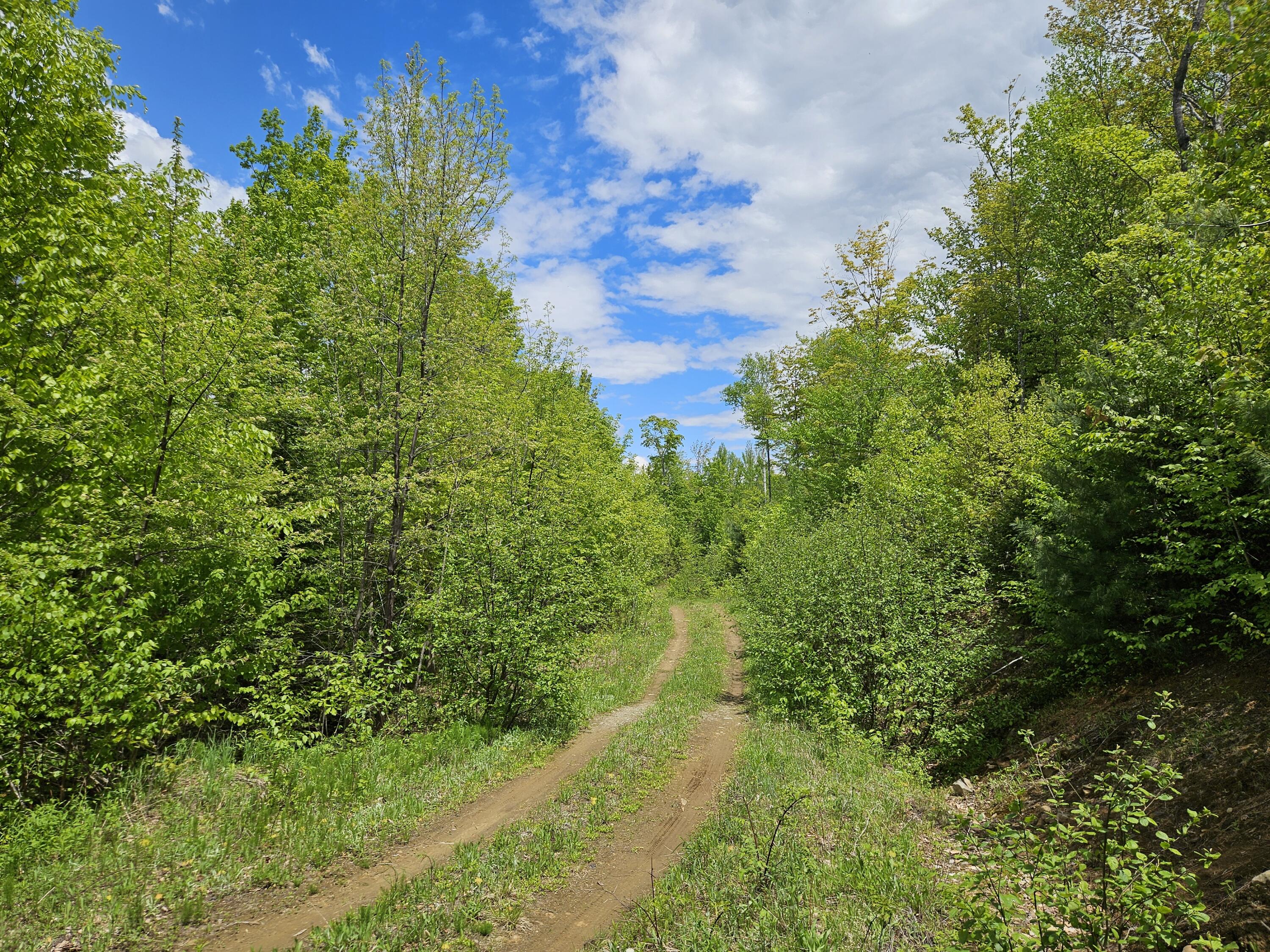 2 Mud Pond Road Madrid Township, ME 04966 - Photo 23 of 42 Madrid Lot