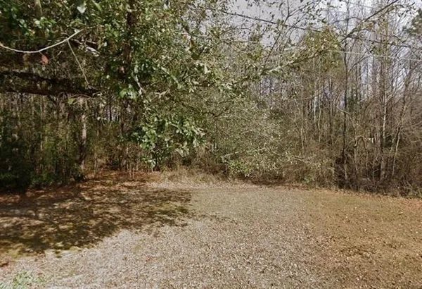 $55,000 | 0 Robert Blow Road, Ponchatoula, LA 70454