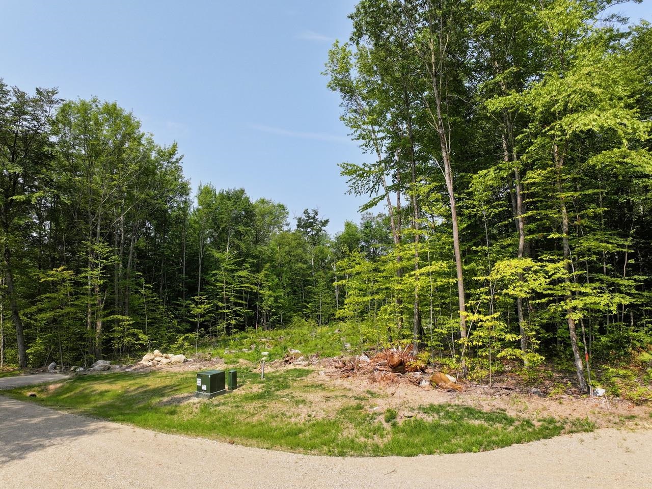 Lot 7 Fern Lake Road Leicester, VT 05733 - Photo 3 of 24
