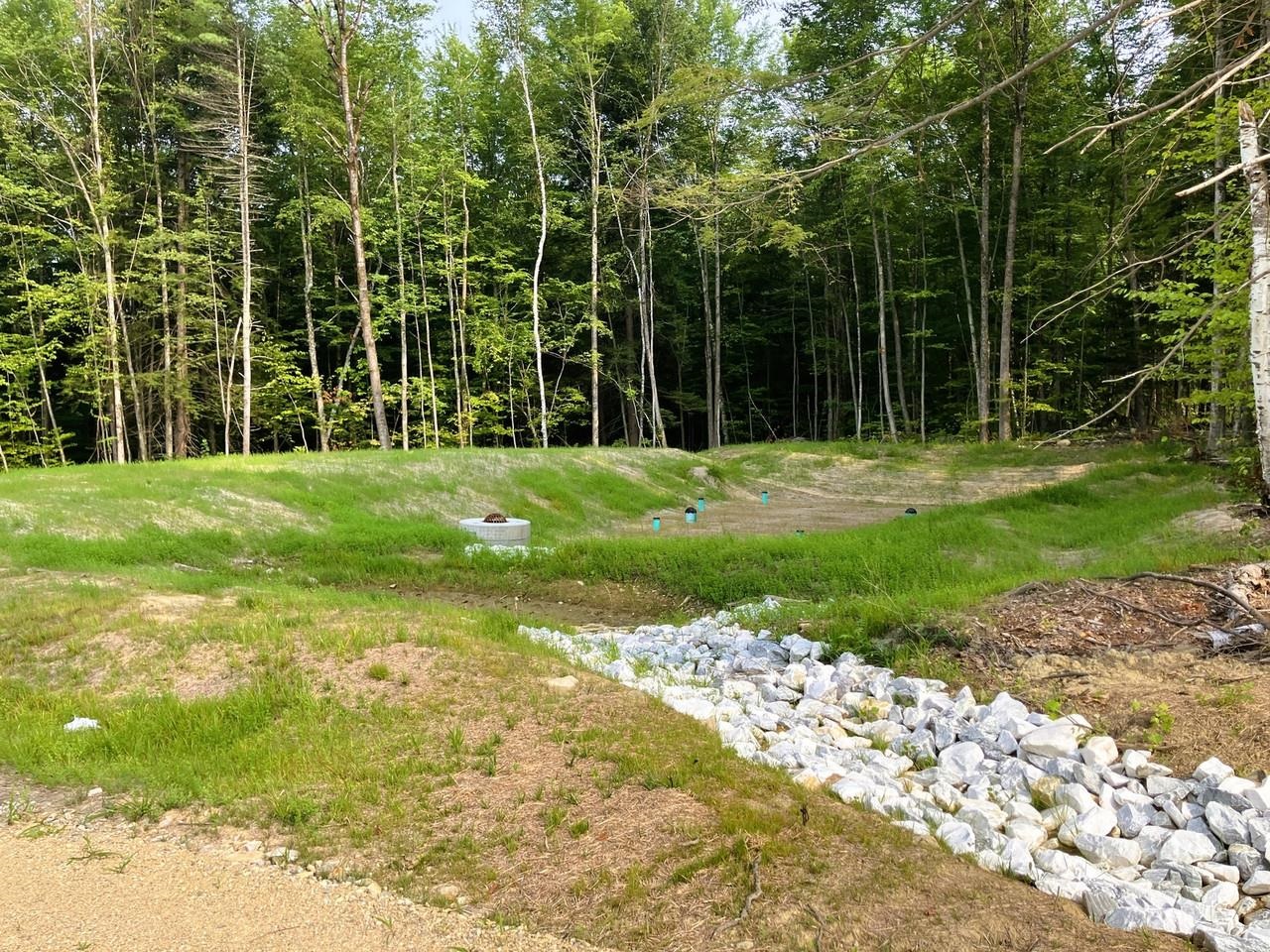Lot 7 Fern Lake Road Leicester, VT 05733 - Photo 6 of 24
