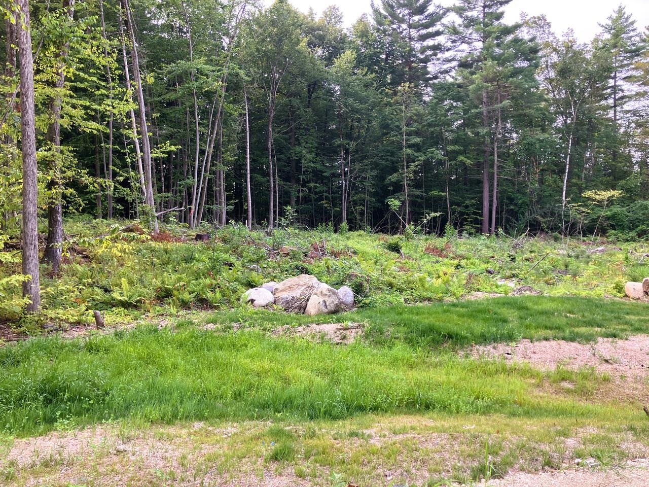 Lot 7 Fern Lake Road Leicester, VT 05733 - Photo 7 of 24
