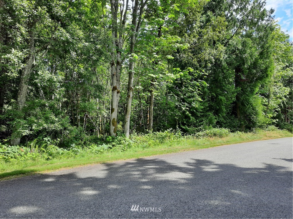 0 Puget Loop Port Ludlow, WA 98365 - Photo 1 of 1 Gallery Image 1