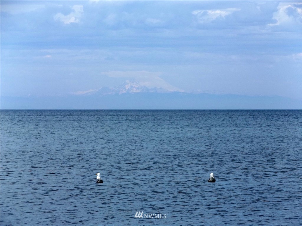 711 3 Crabs Road Sequim, WA 98382 - Photo 23 of 25 Gallery Image 23