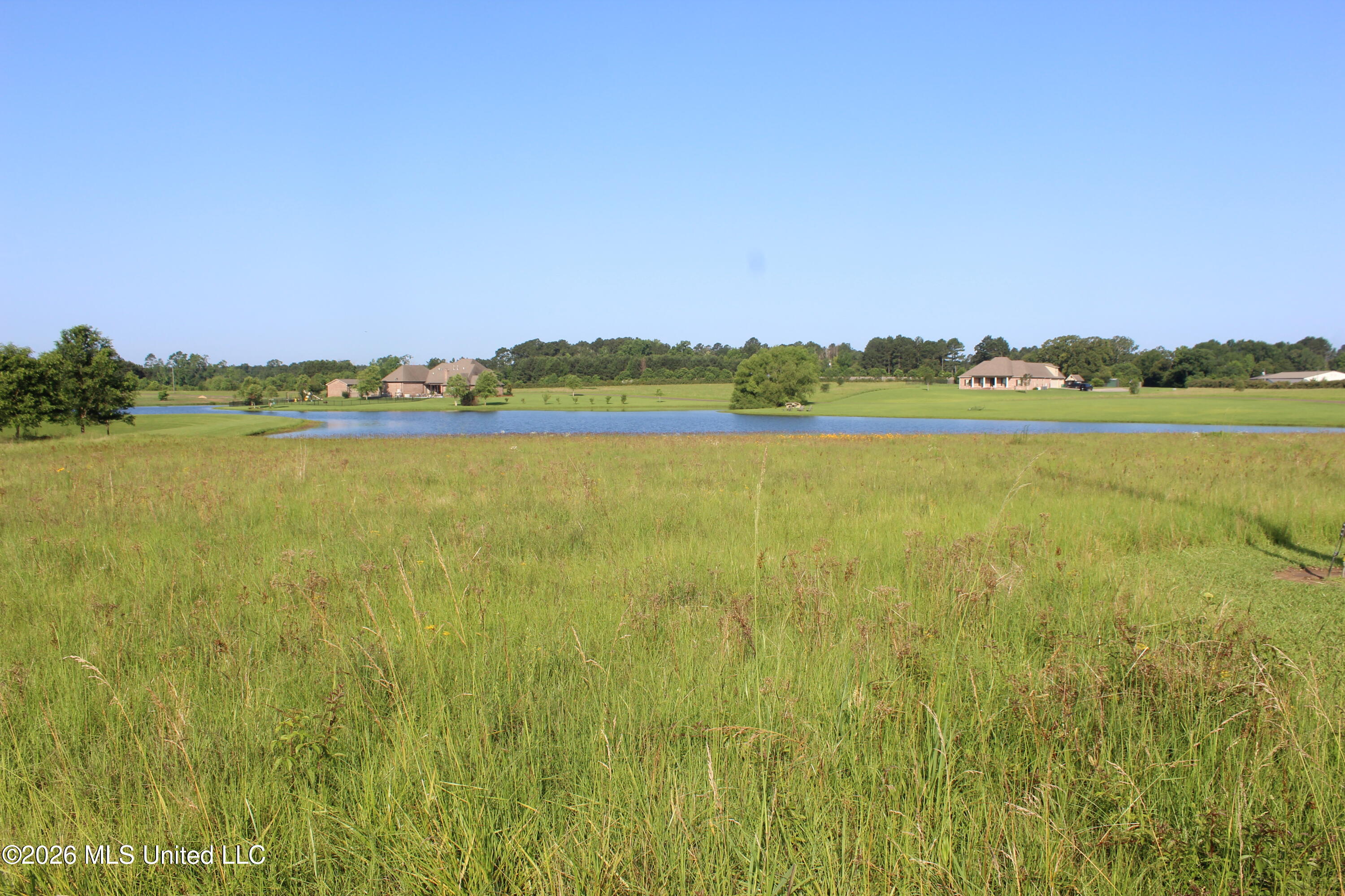 Southeast Maura Lane Southeast Brookhaven, MS 39601 - Photo 5 of 20 2 ac Harper Lake Estates (4)