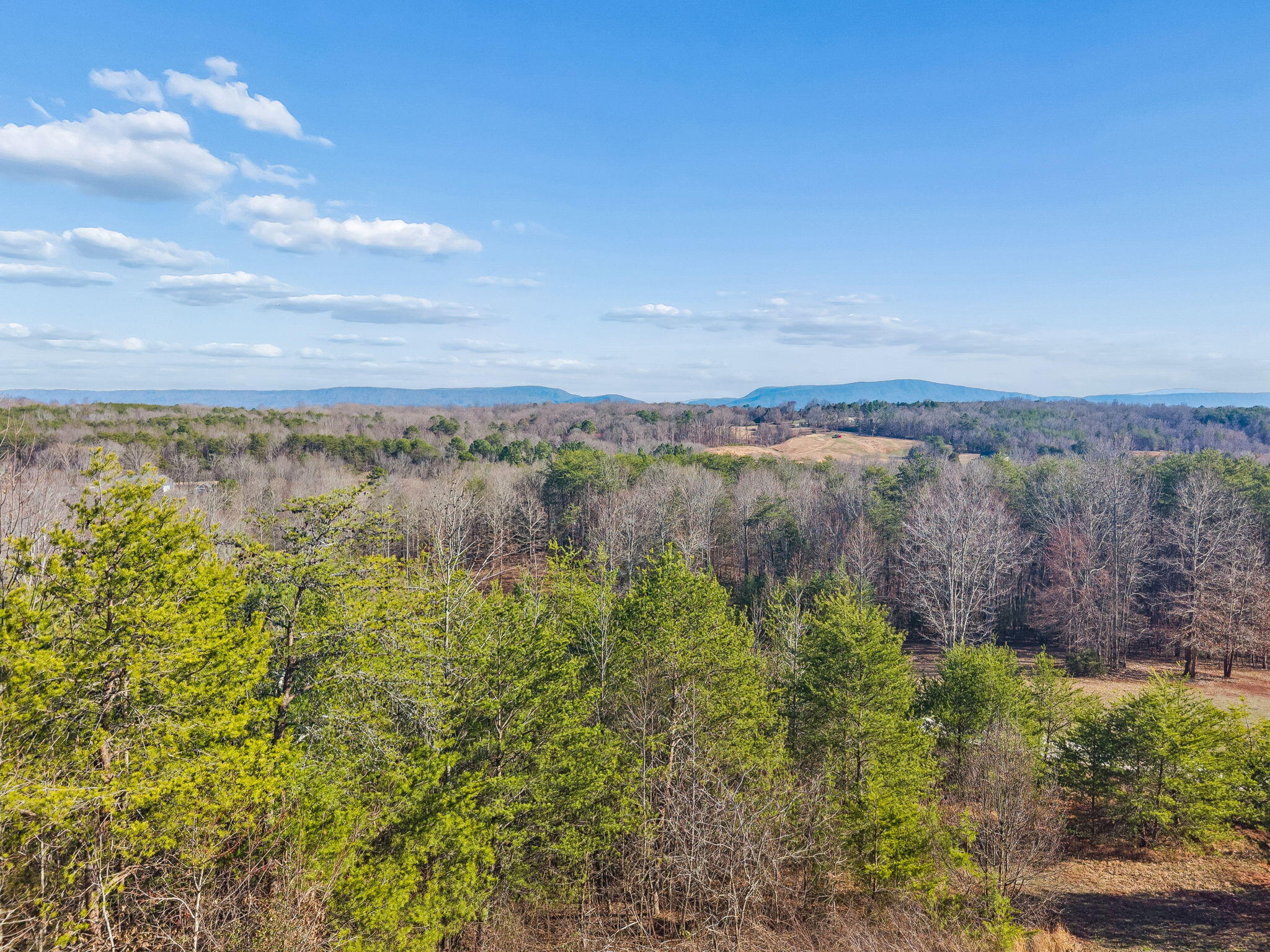 416 County Road 754 Riceville, TN 37370 - Photo 4 of 53 89-416 Co Rd 754 Riceville - 006