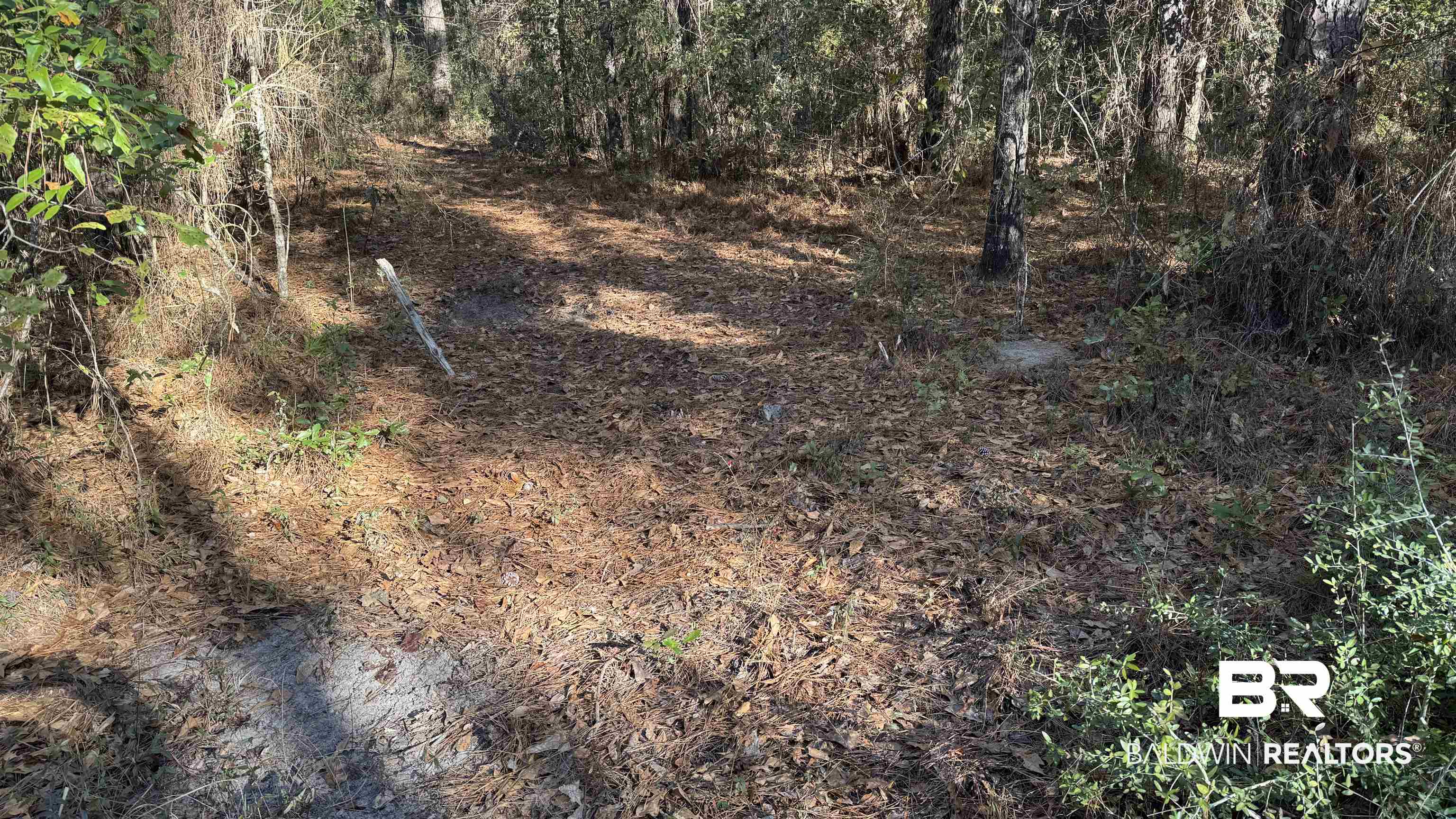 14830 Old Pascagoula Road Grand Bay, AL 36541 - Photo 19 of 32 View of landscape