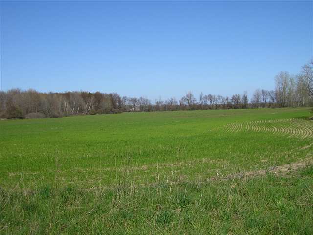 3810 Galbraith Line Road Croswell, MI 48422 - Photo 3 of 7 31050852-2.JPG