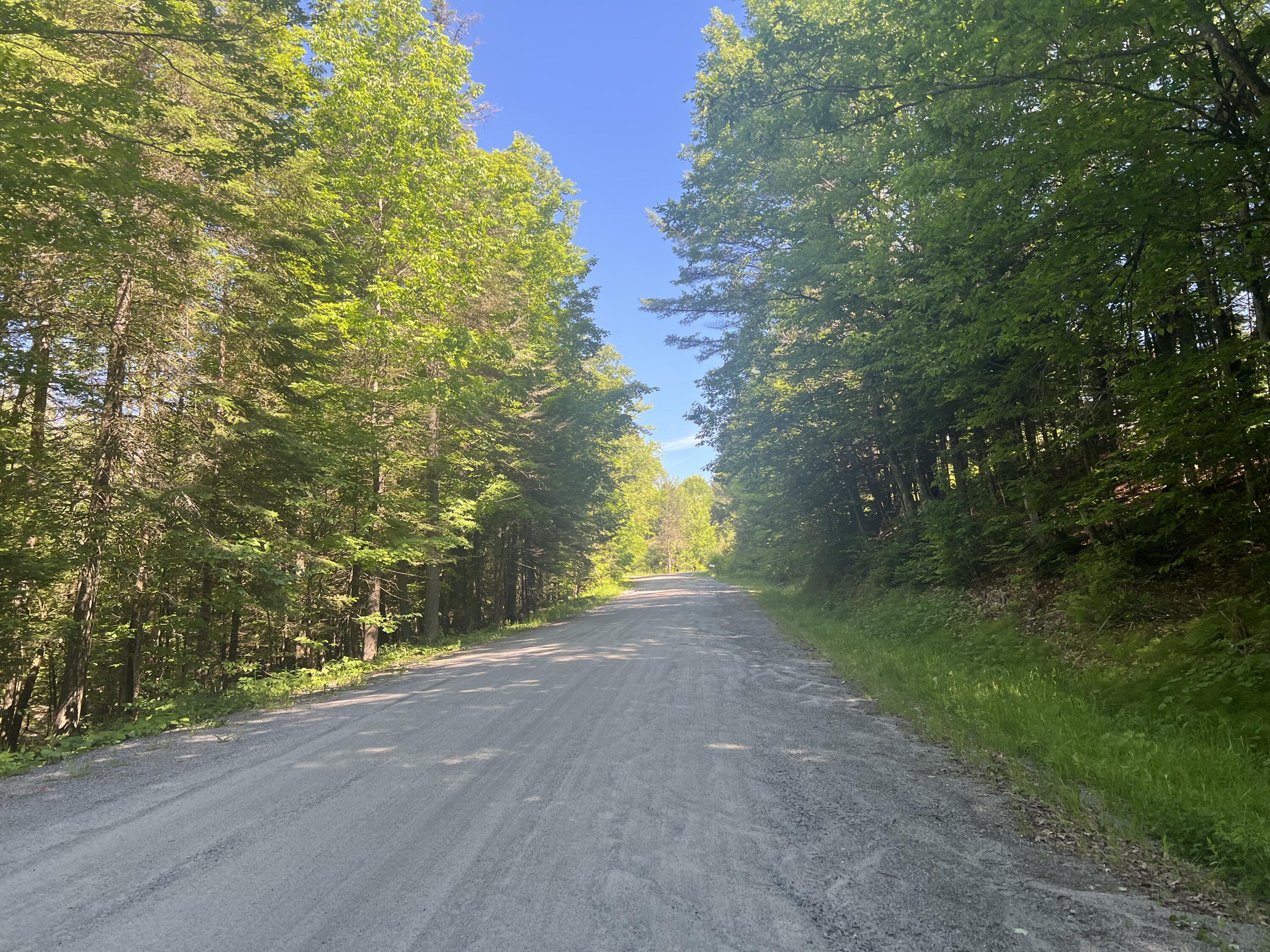 161 Riddle Road Mineville, NY 12956 - Photo 3 of 5