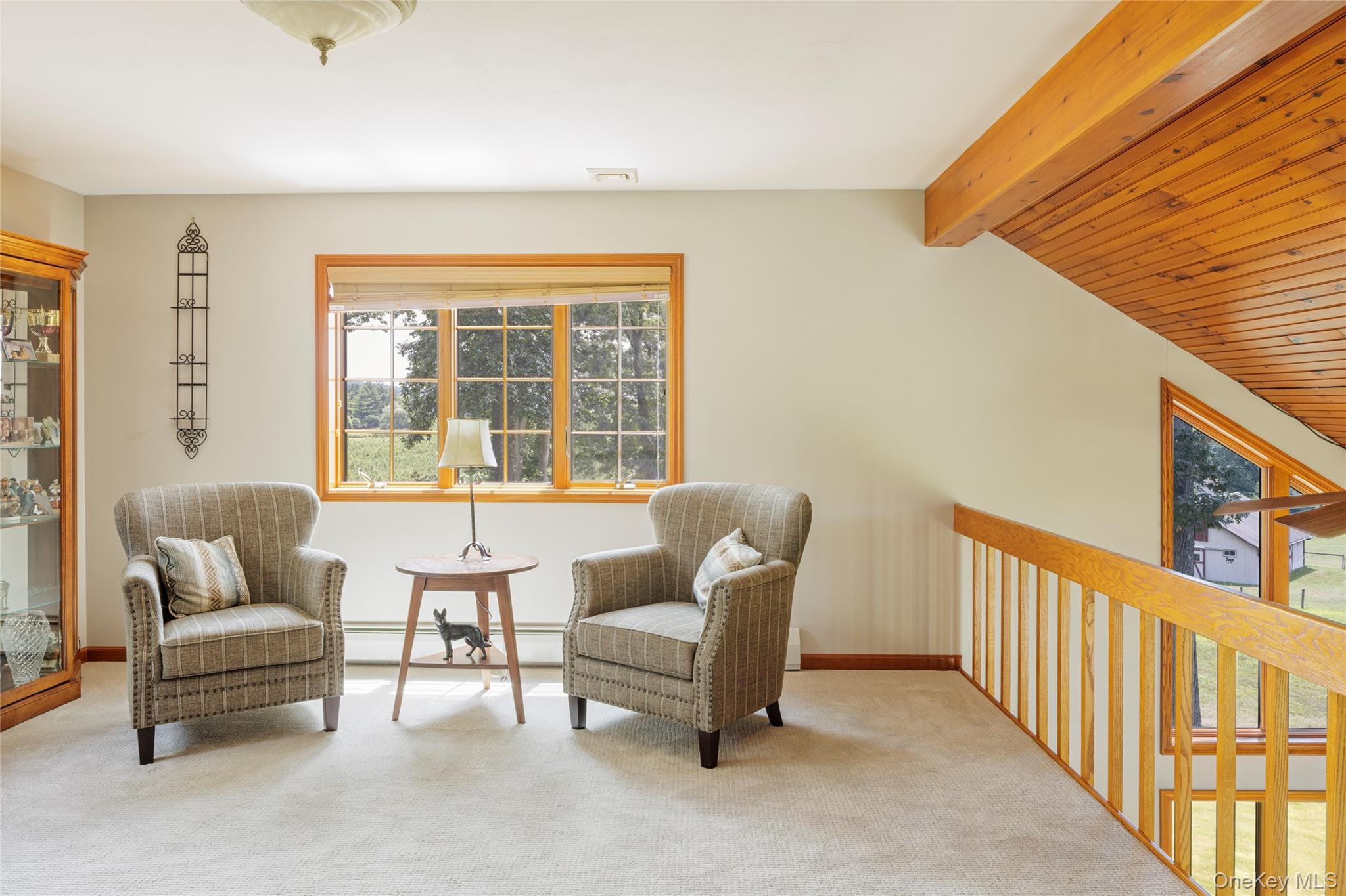 48 County Rte 14 Hudson, NY 12534 - Photo 19 of 48 Sitting room featuring baseboard heating and carpet flooring