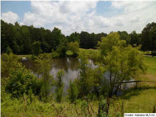 2794 Warrior Valley Road Altoona, AL 35952 - Photo 8 of 17