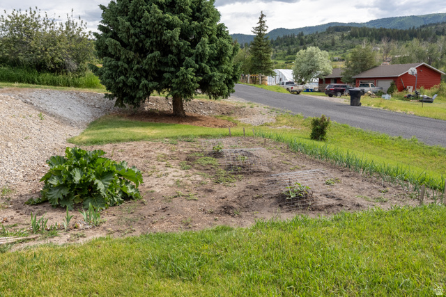322 Bailey Creek Road Soda Springs, ID 83276 - Photo 29 of 32 Expansive garden area with active plantings and protective caging